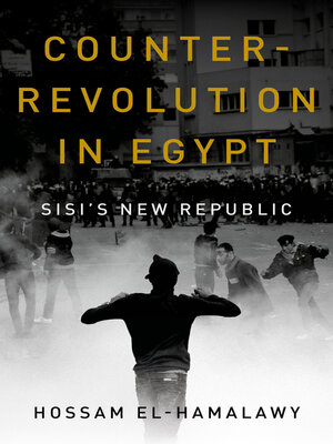 cover image of Counterrevolution in Egypt